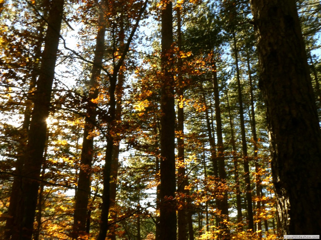 P1040156