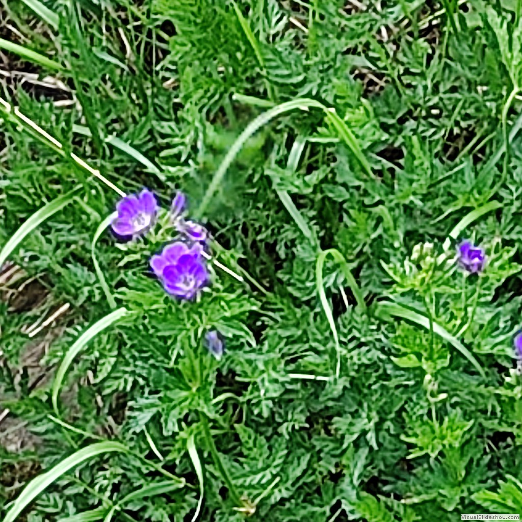 IMG_20220601_123438