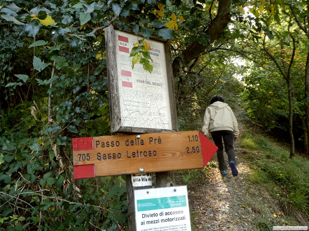 P1030757