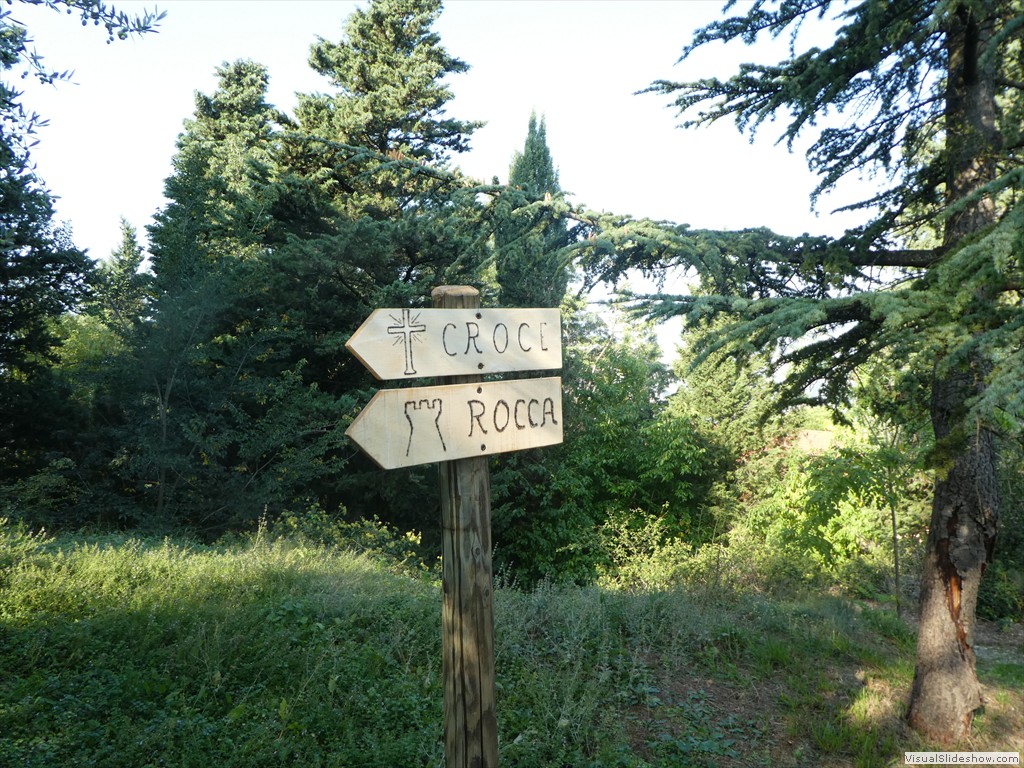 P1030766