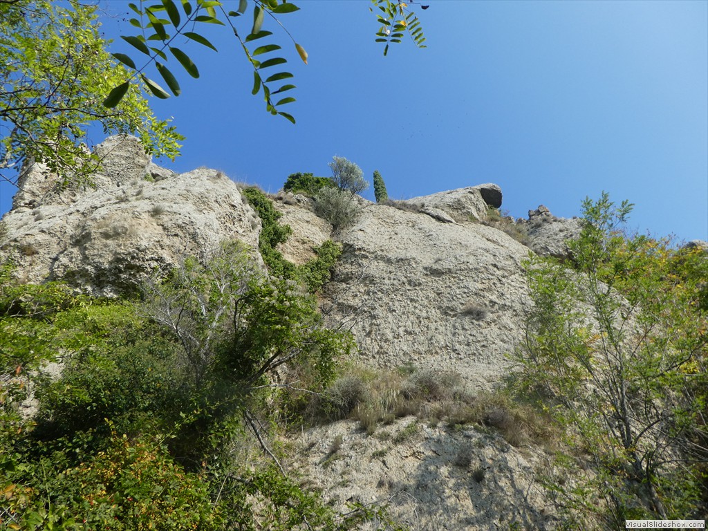 P1030767