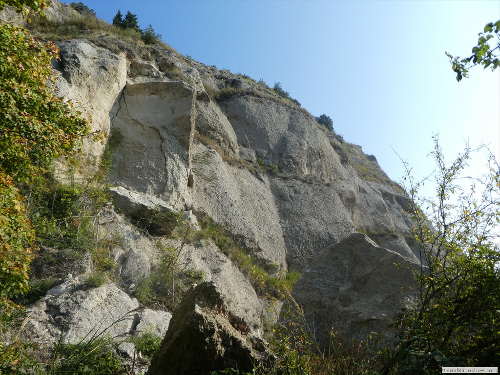 P1030768