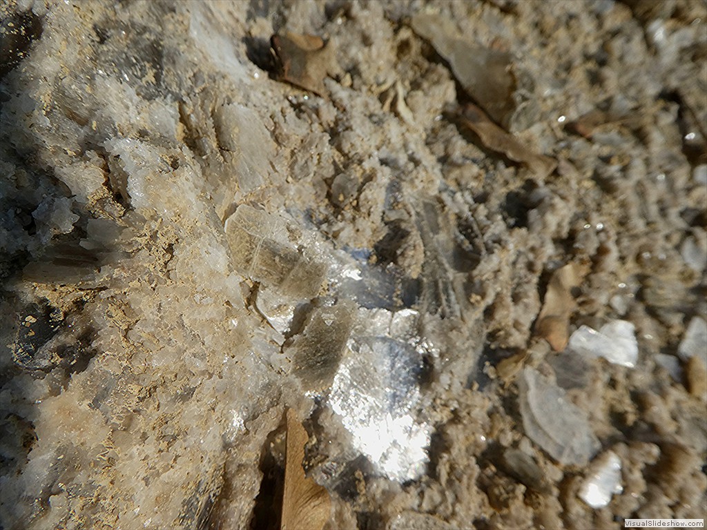 P1030770