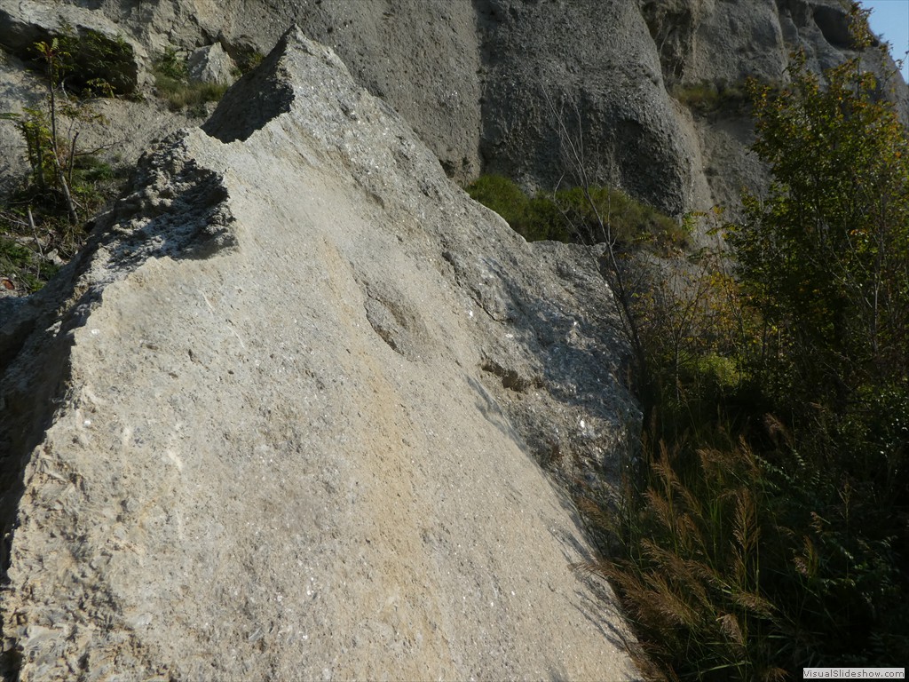 P1030771