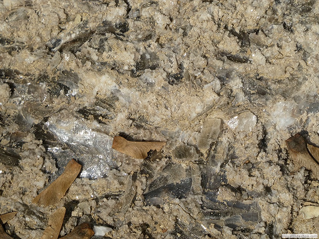 P1030772