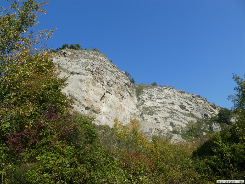 P1030778