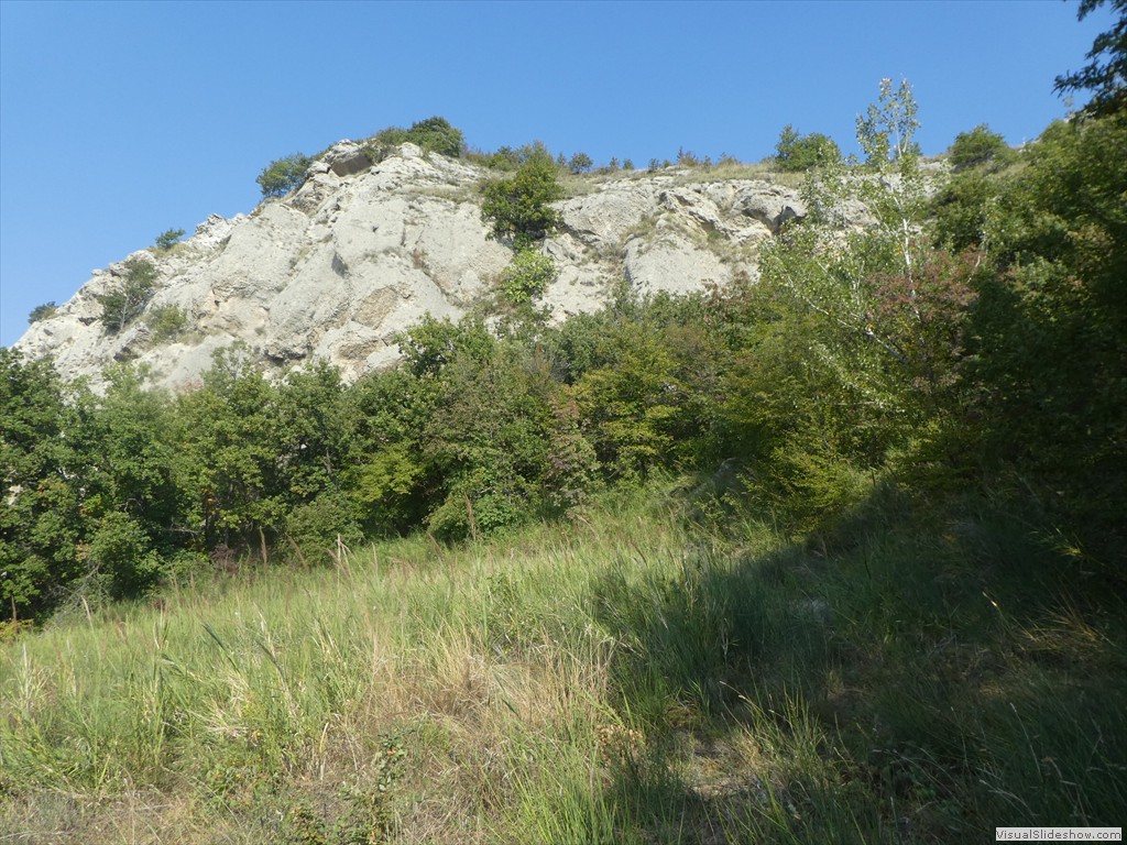 P1030783