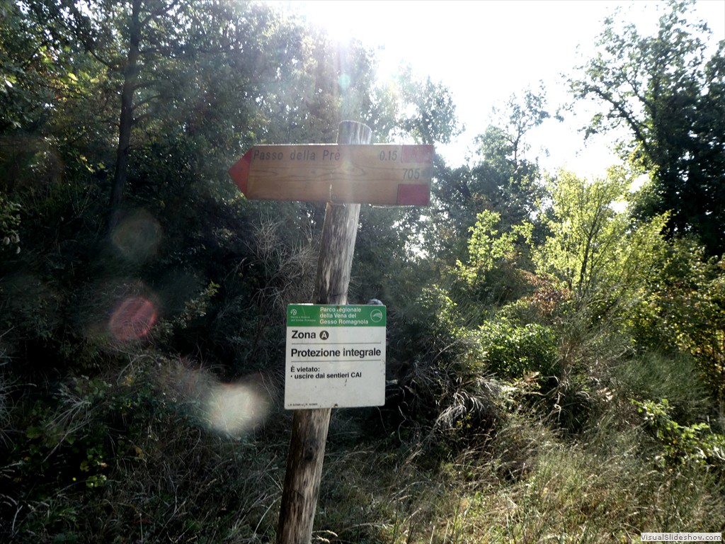P1030784