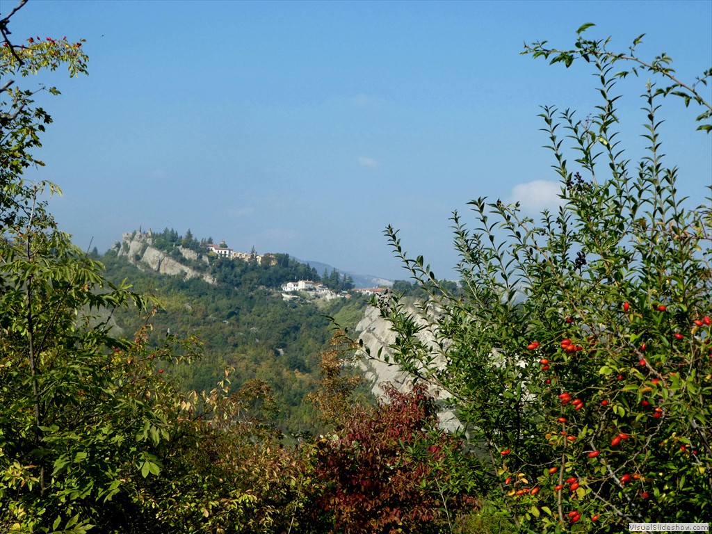 P1030790