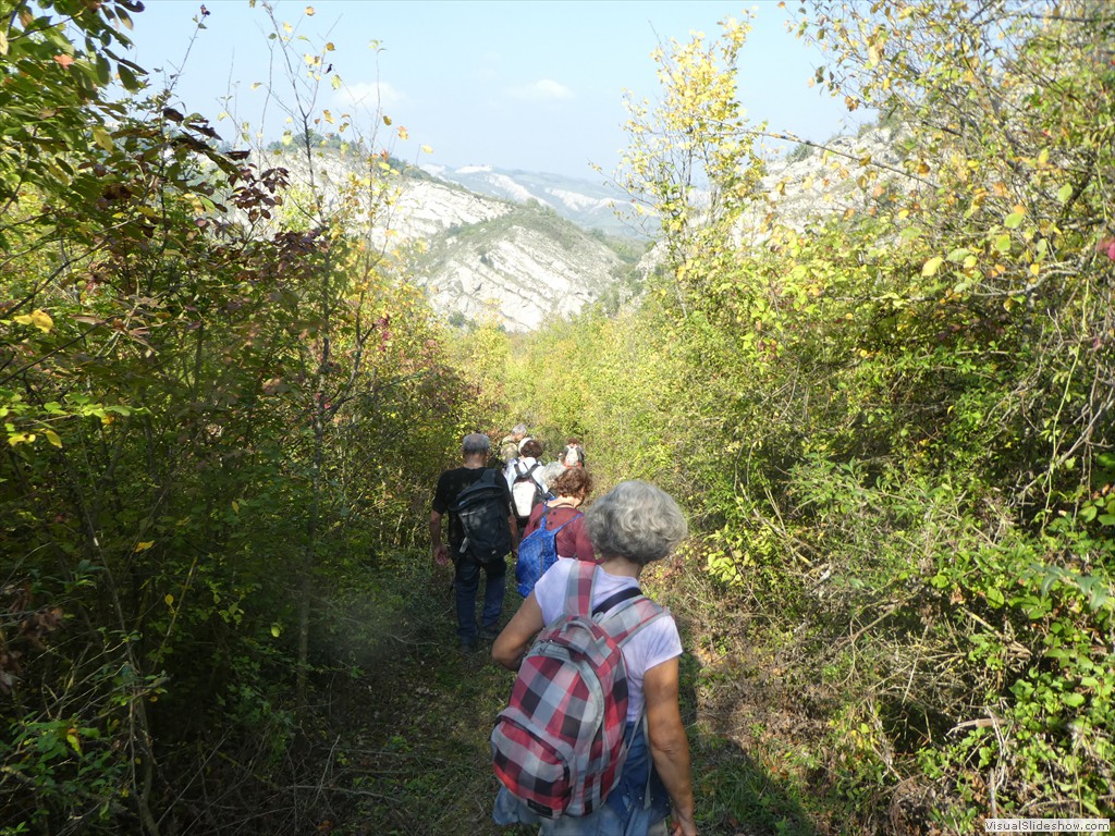 P1030793
