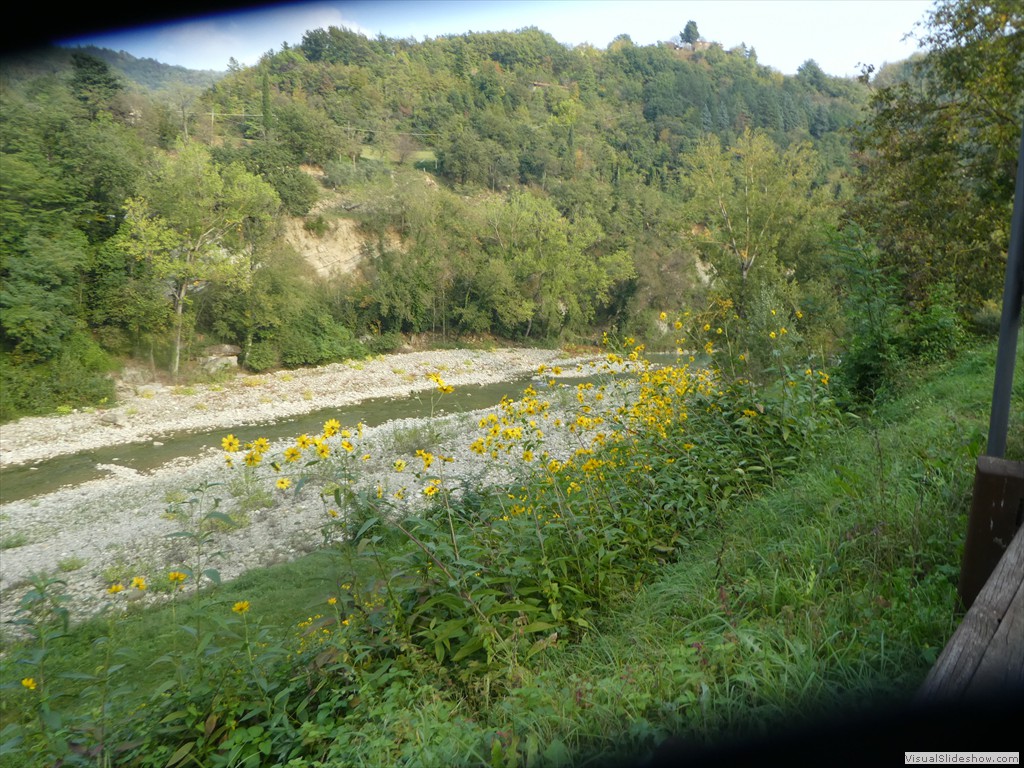 P1030803