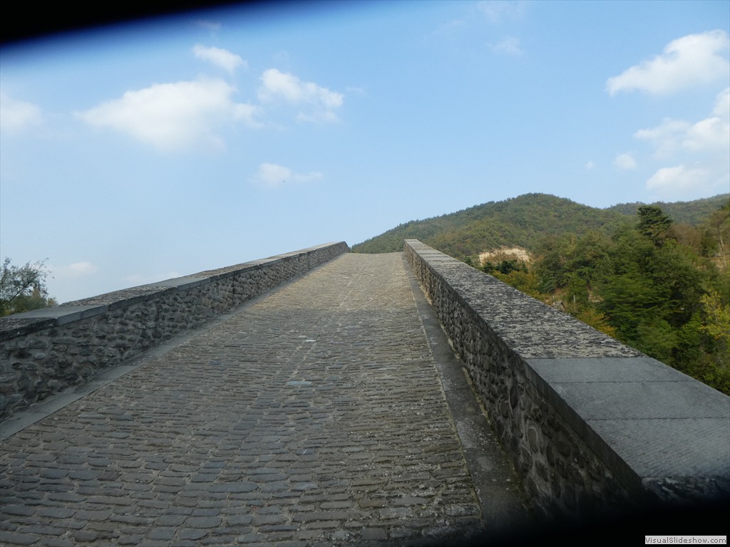P1030804