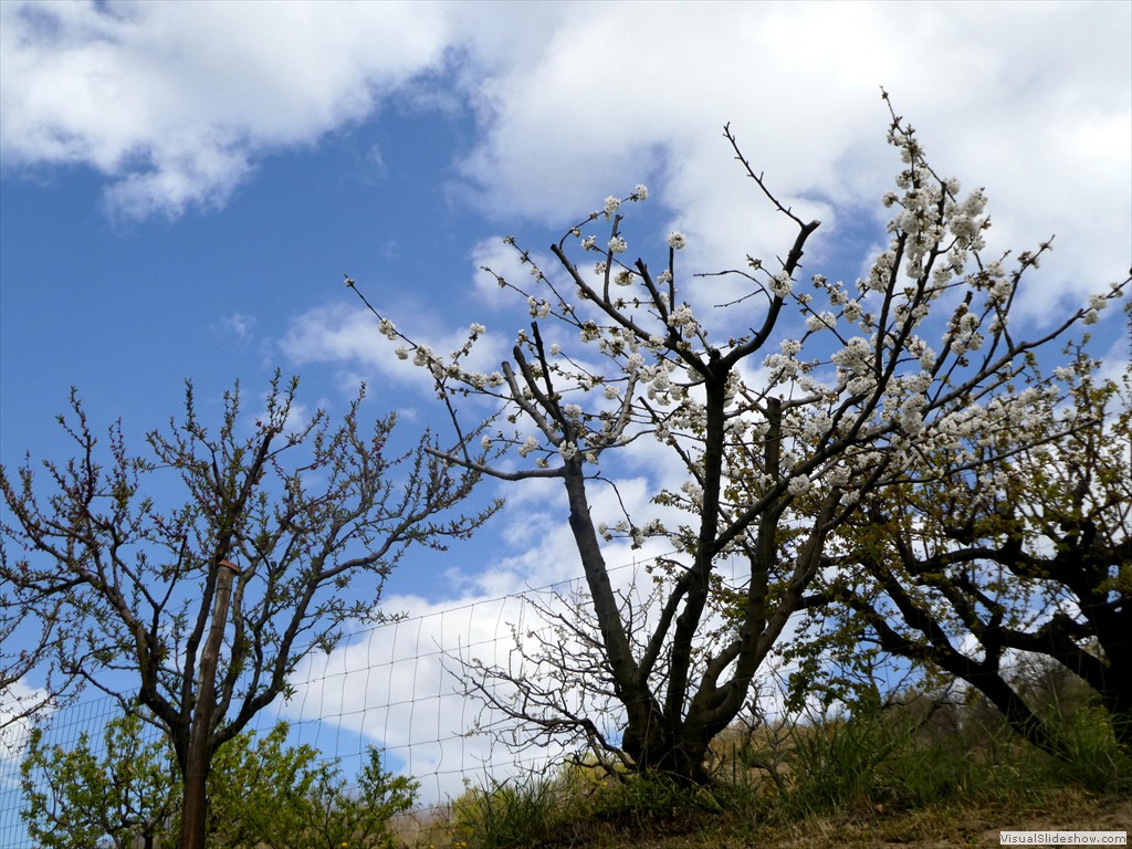 P1060677