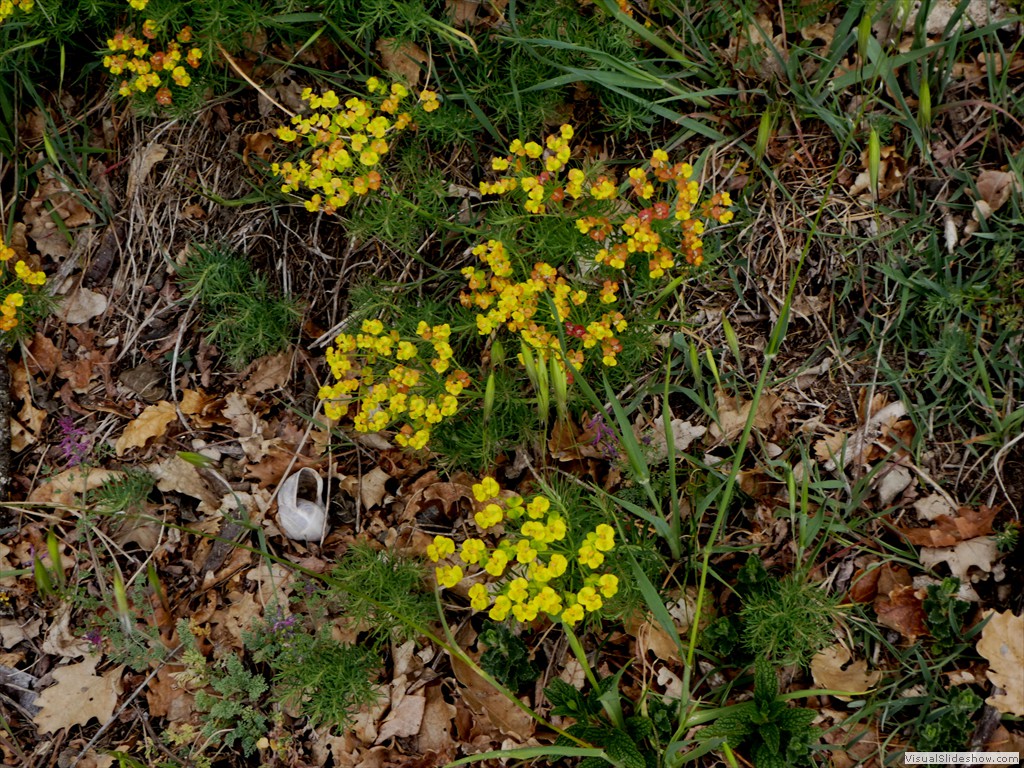 P1060682
