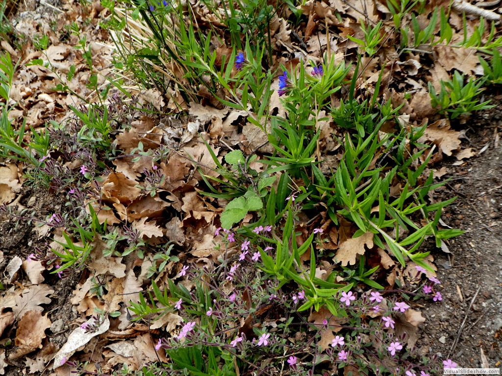 P1060685