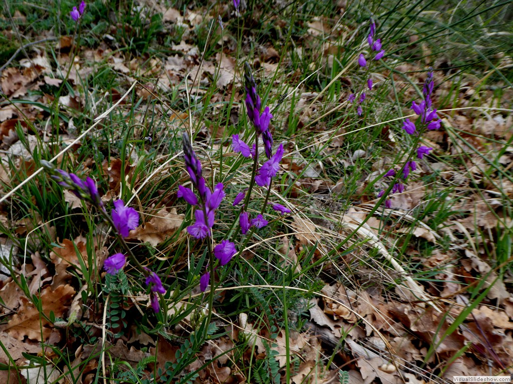 P1060686