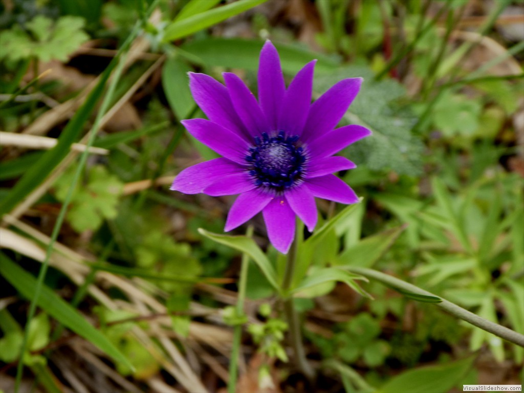 P1060697