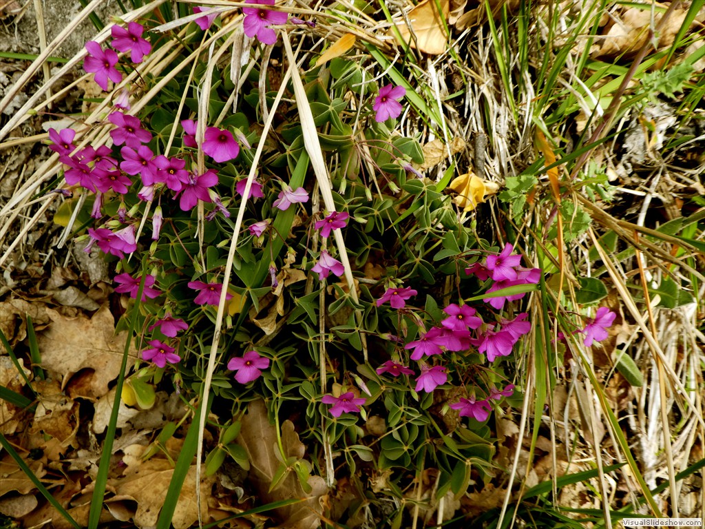P1060700