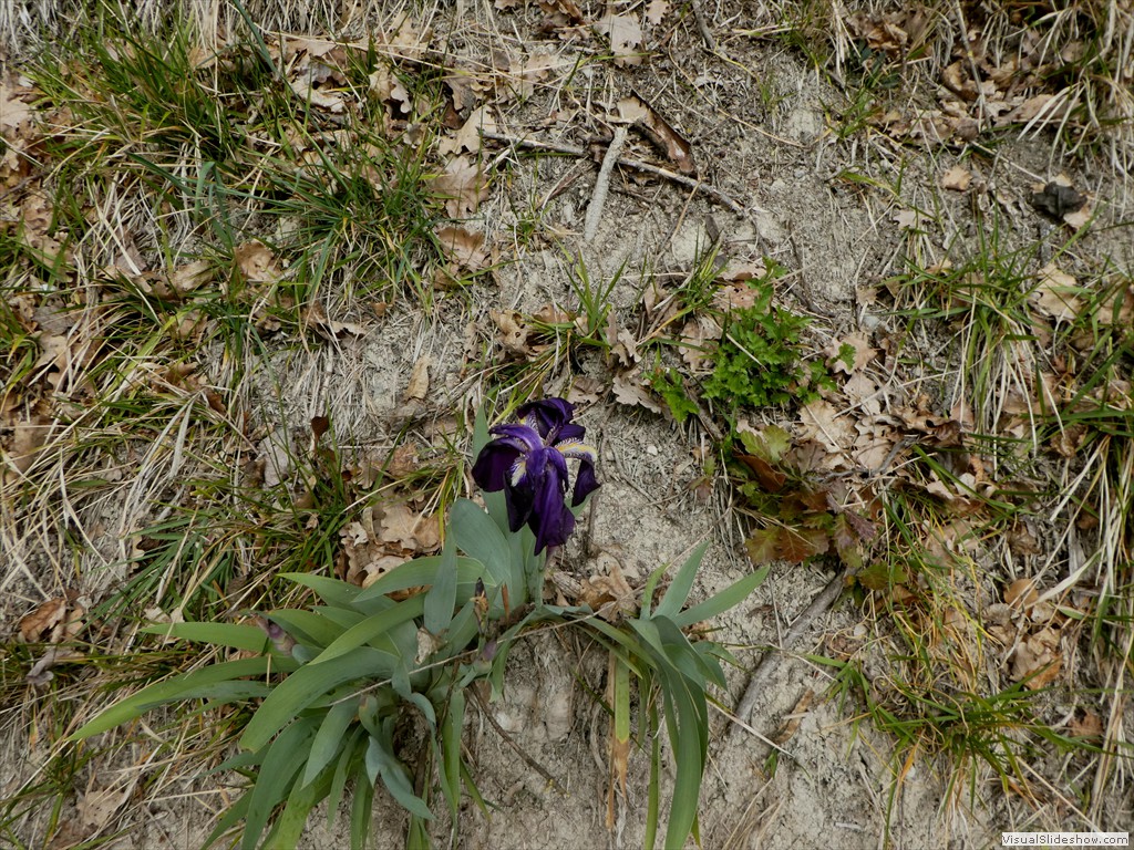 P1060701