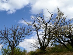 P1060677