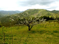 P1060683