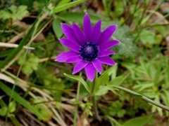 P1060697