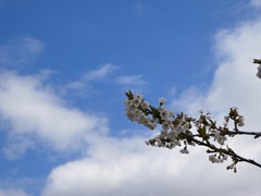 P1060715
