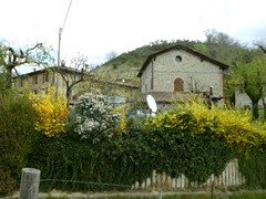 P1060722