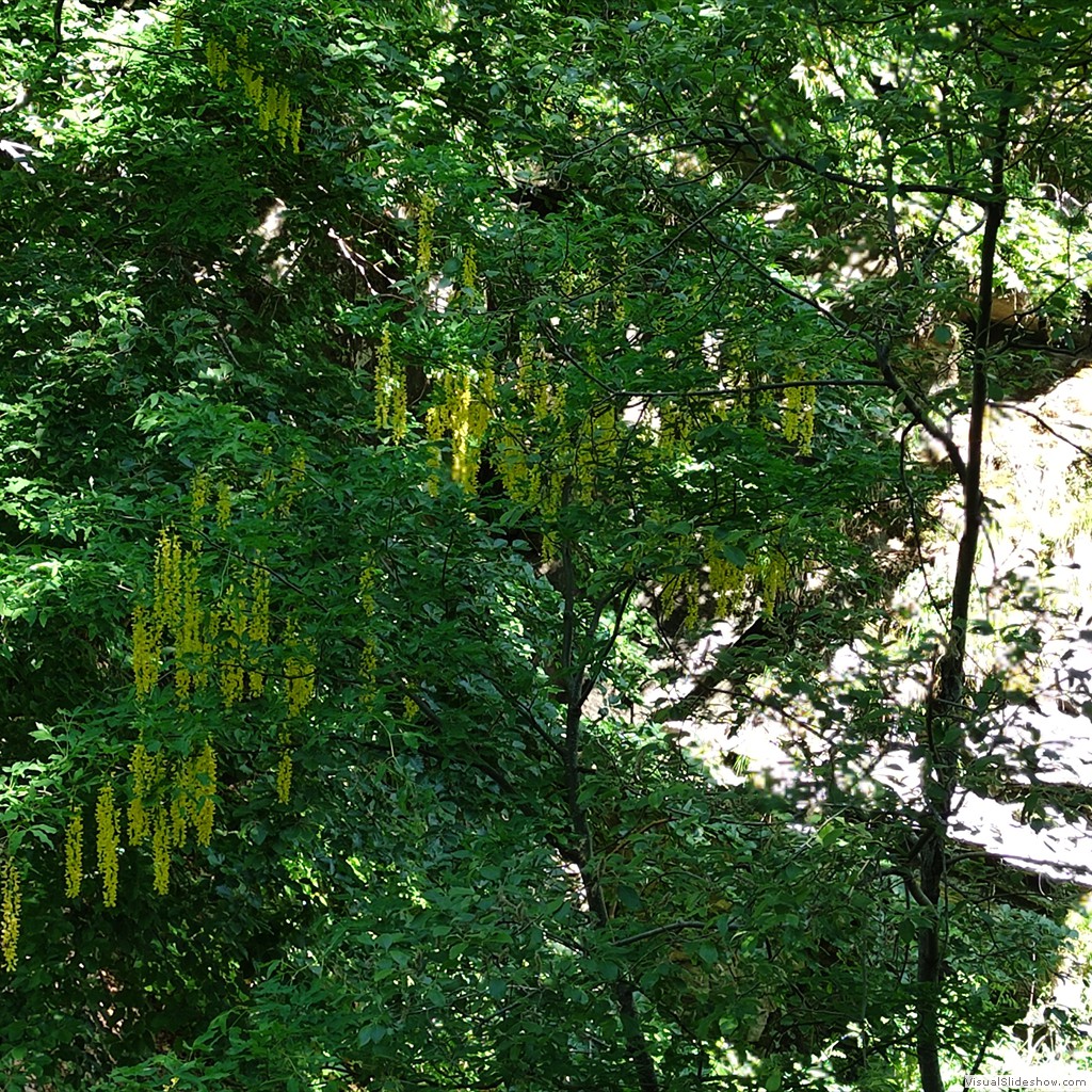 IMG_20220608_102530