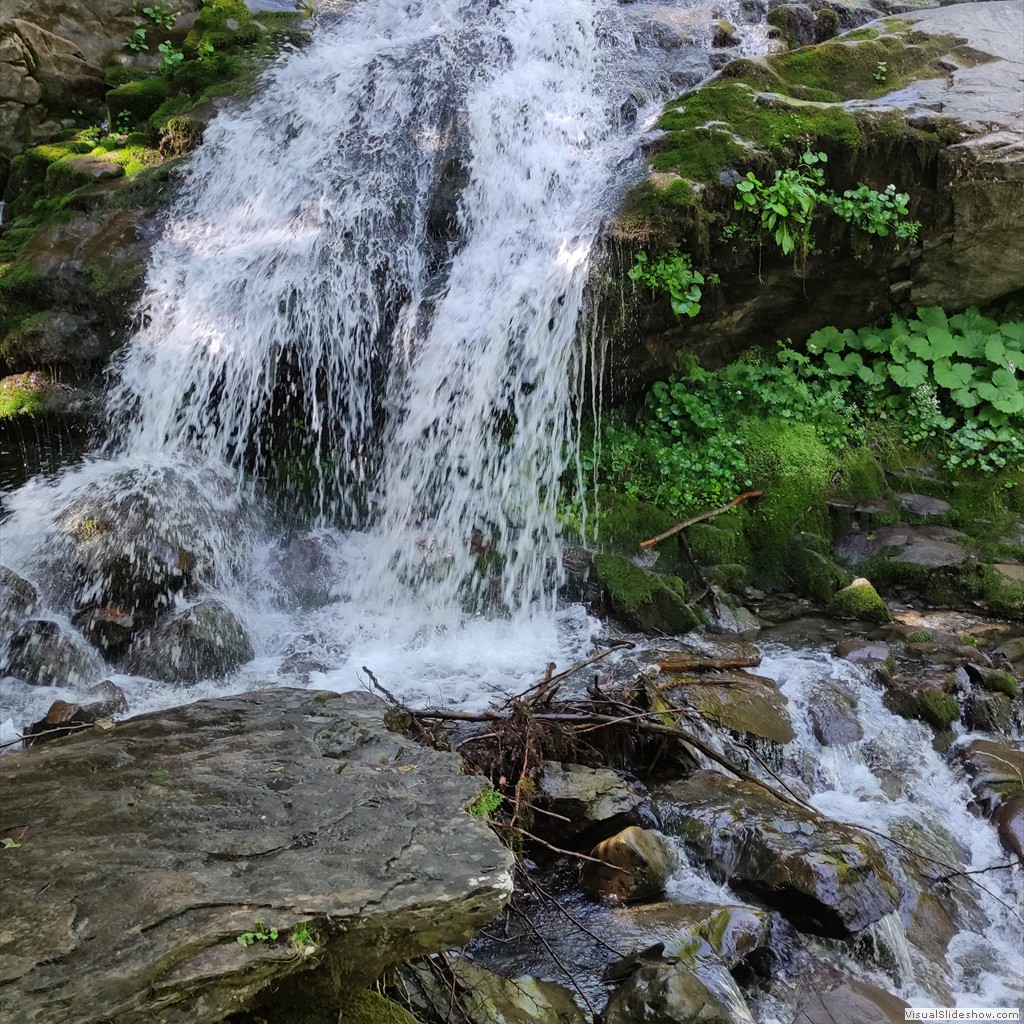 IMG_20220608_103106