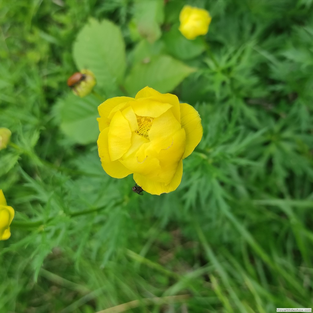 IMG_20220608_123311