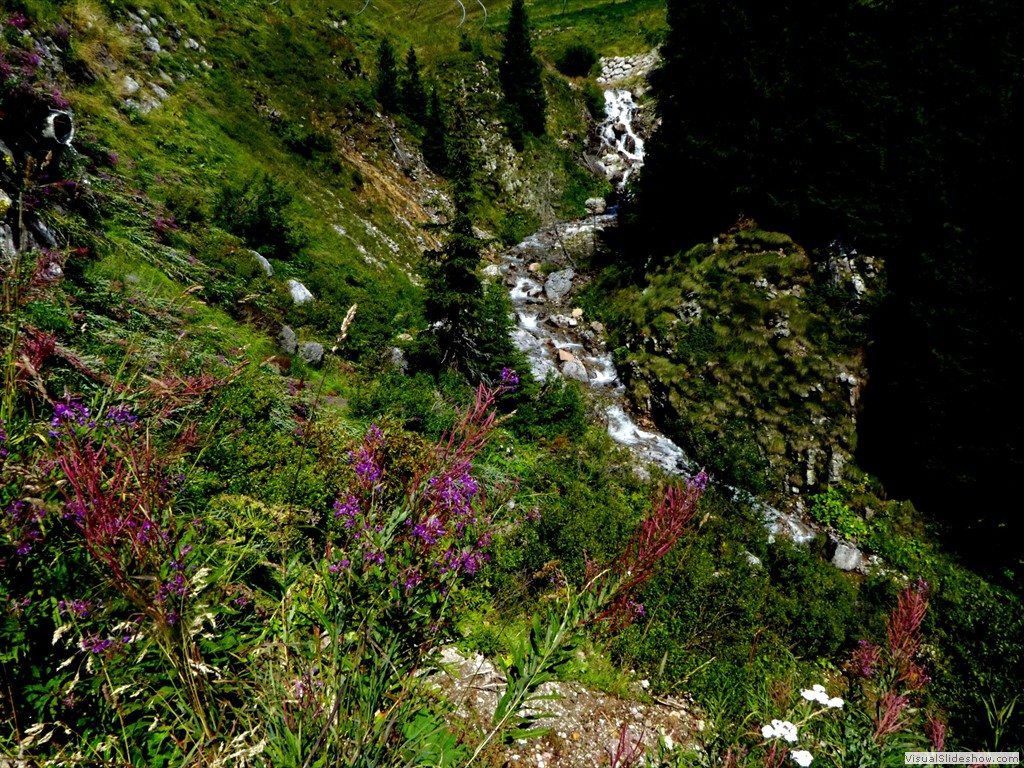 P1030109
