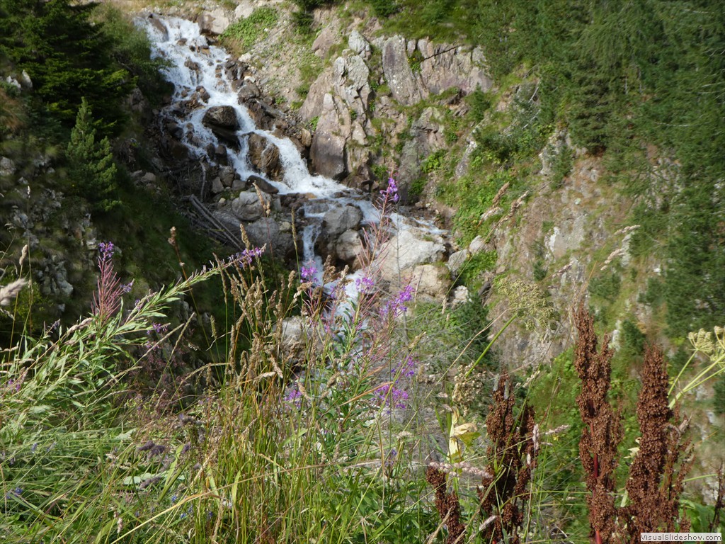P1030153