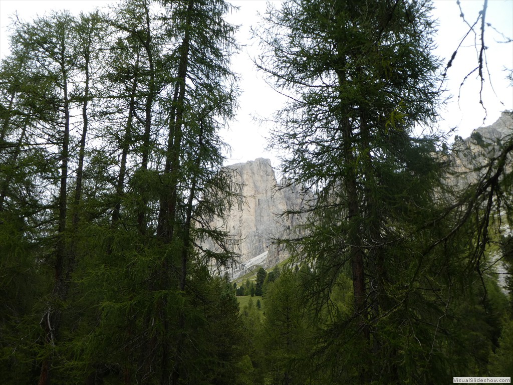 P1030206