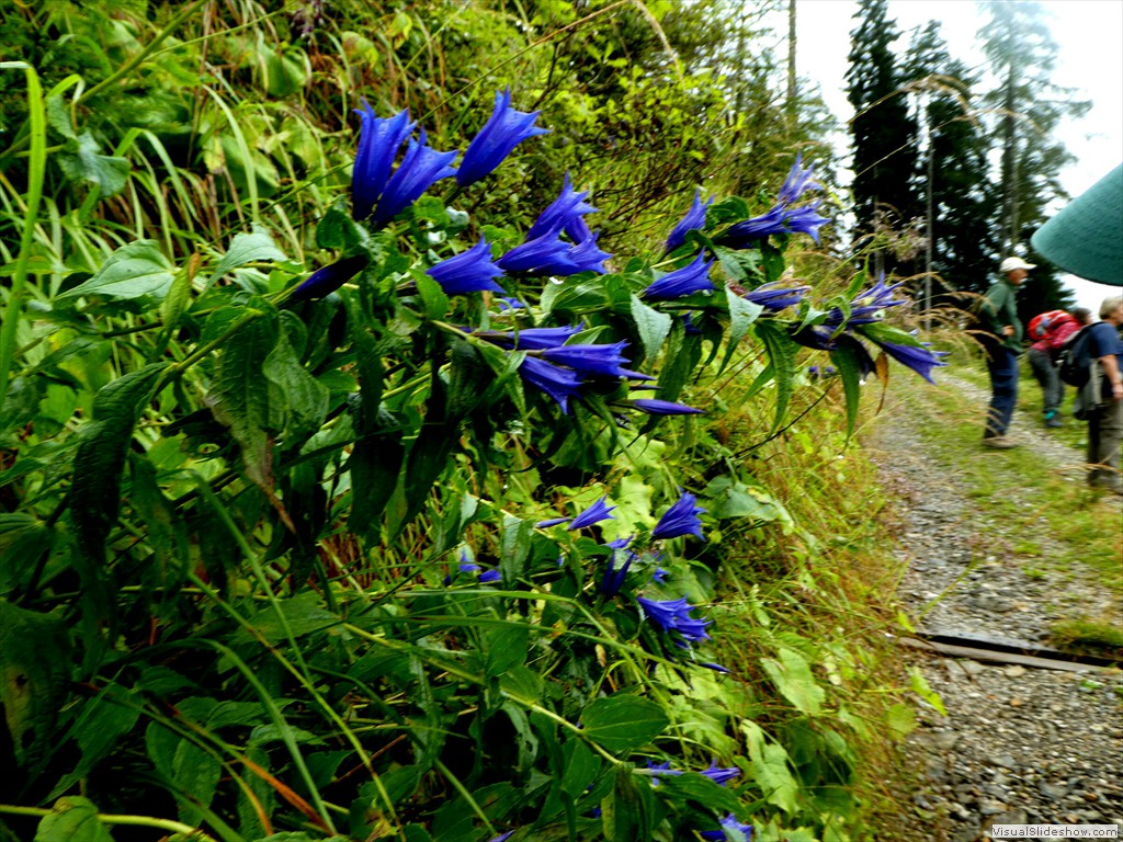P1030230
