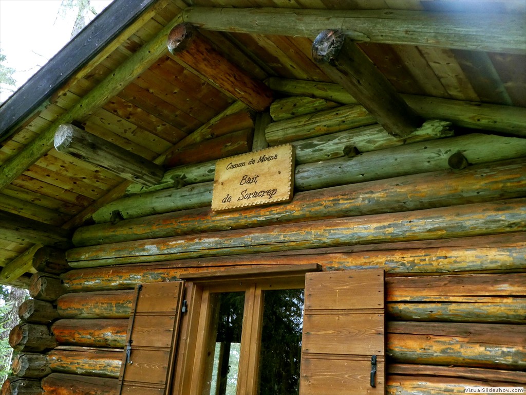P1030238