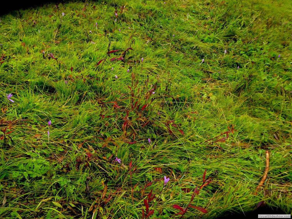 P1030243