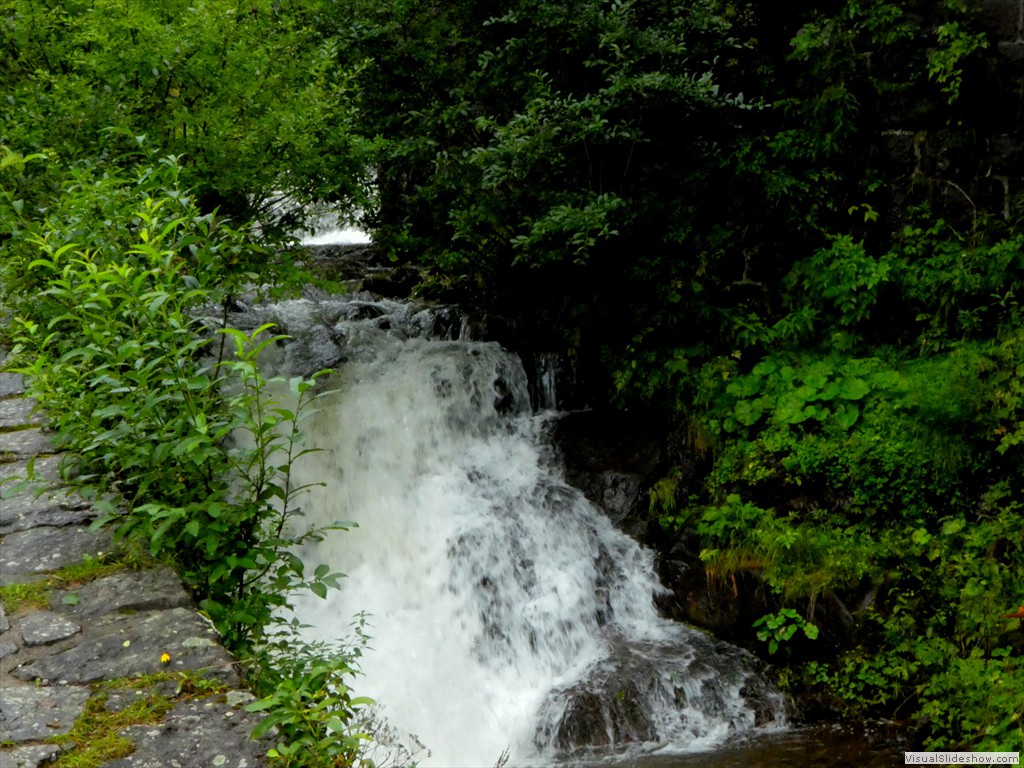 P1030247