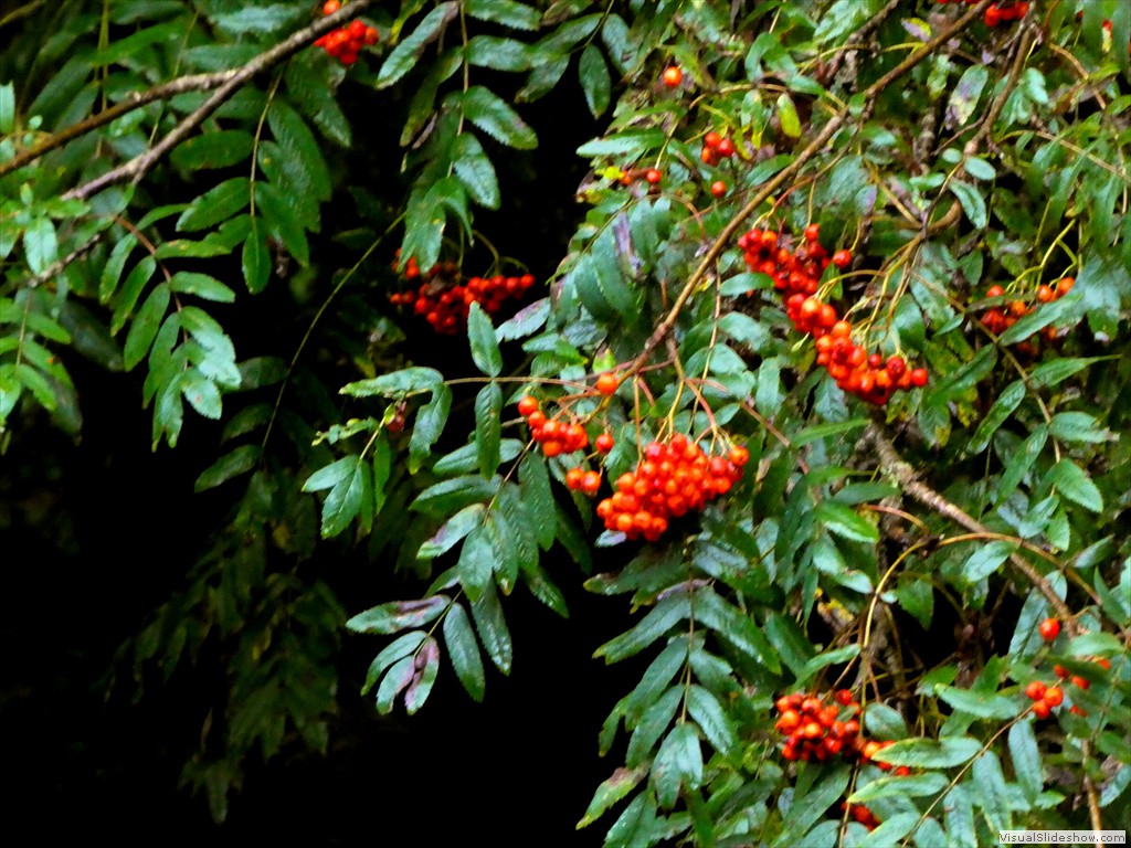 P1030248
