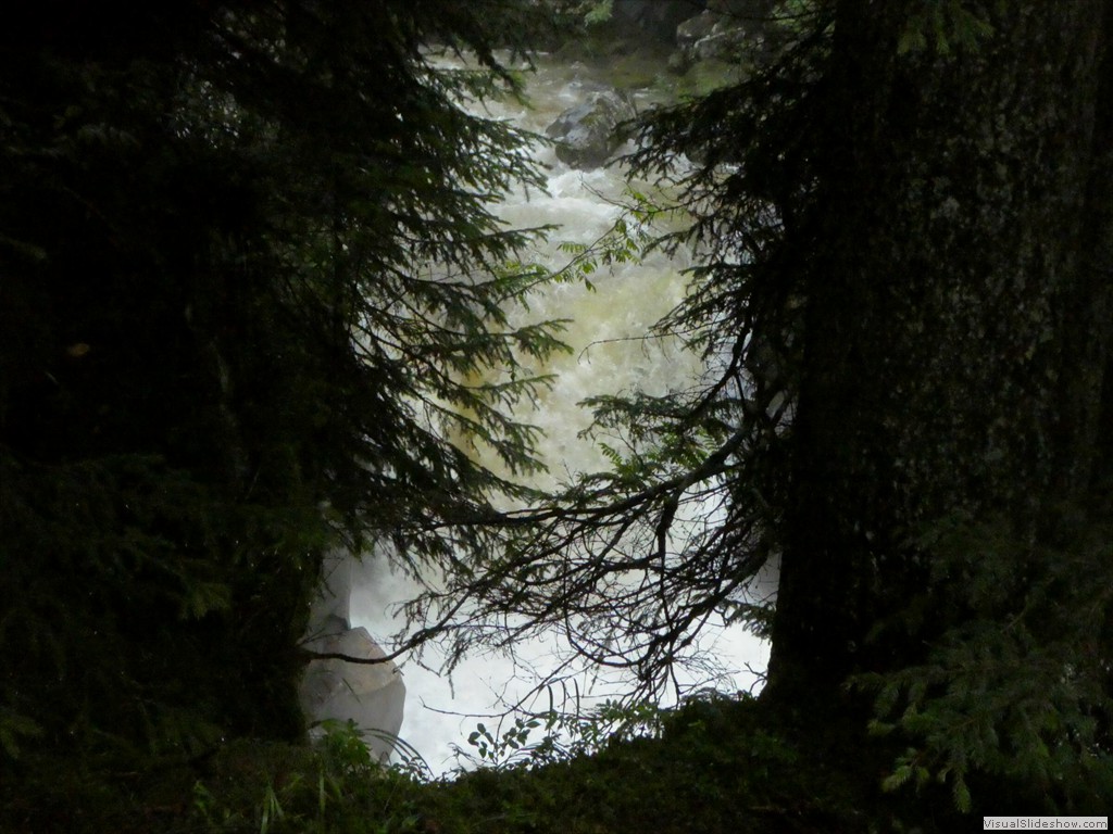 P1030249