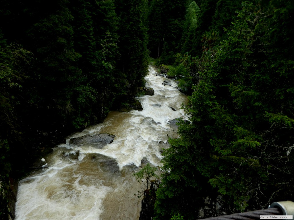 P1030252