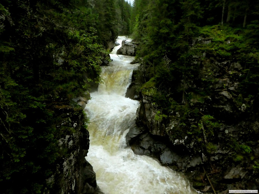 P1030253