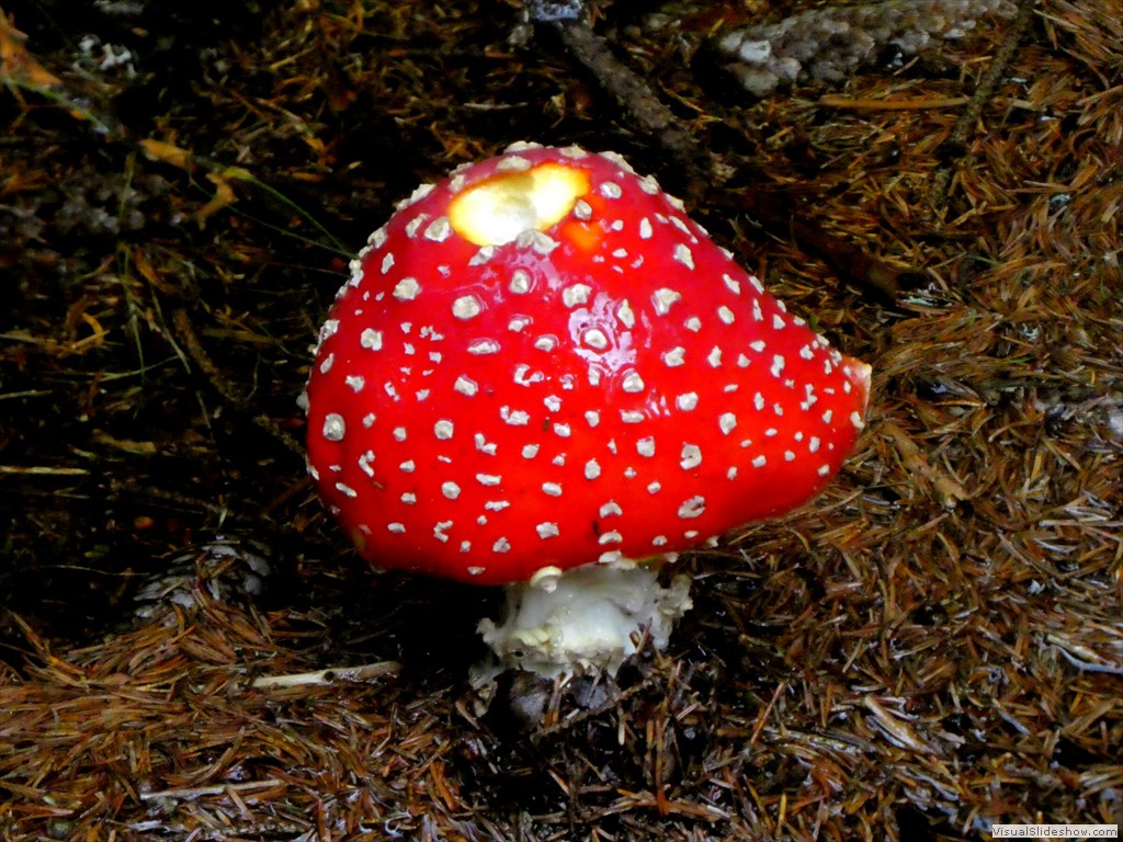 P1030257