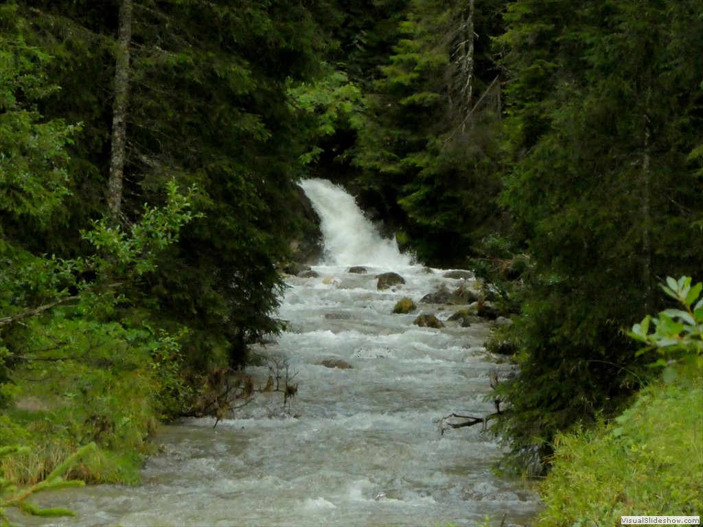 P1030262