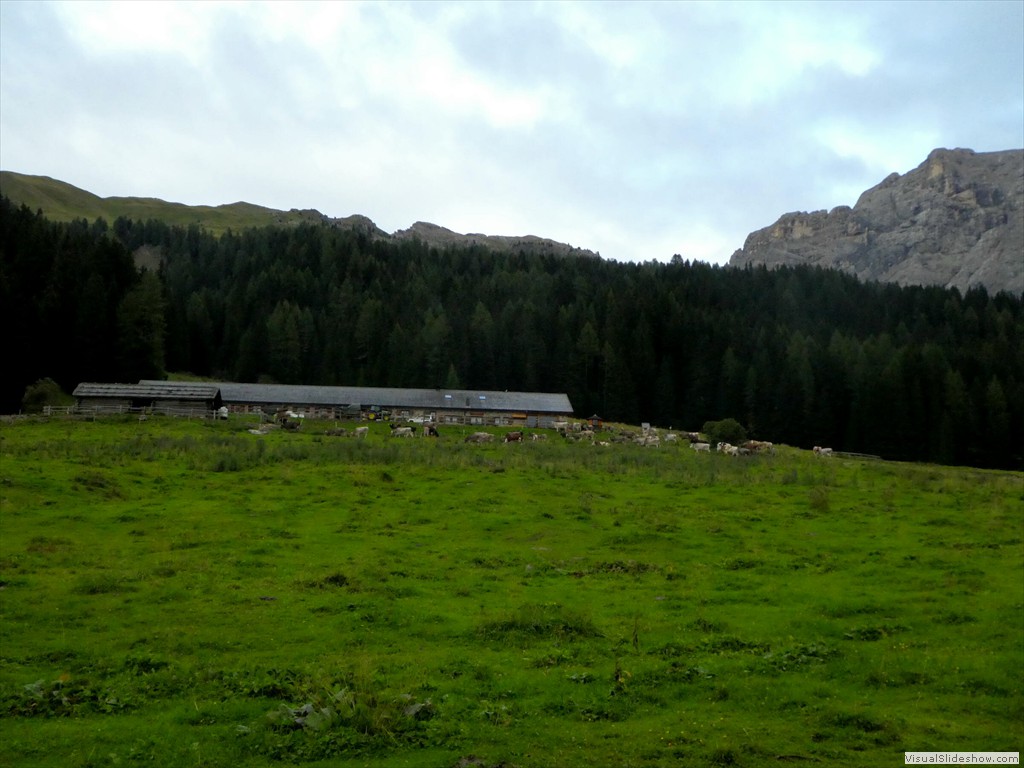 P1030265
