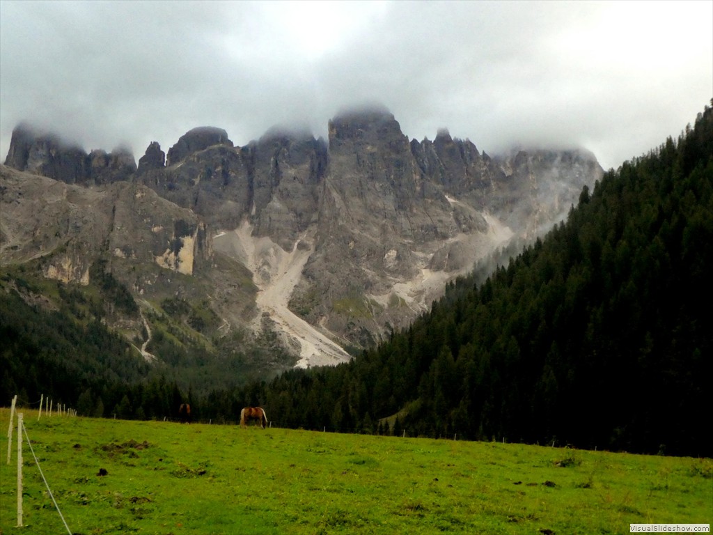 P1030266