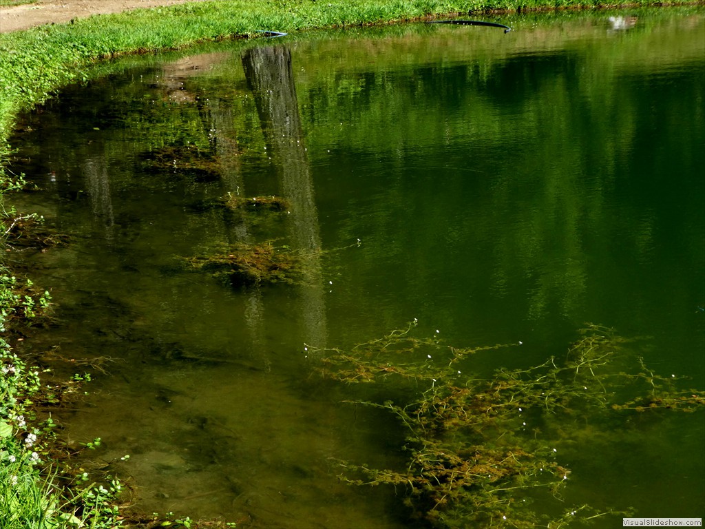 P1030069