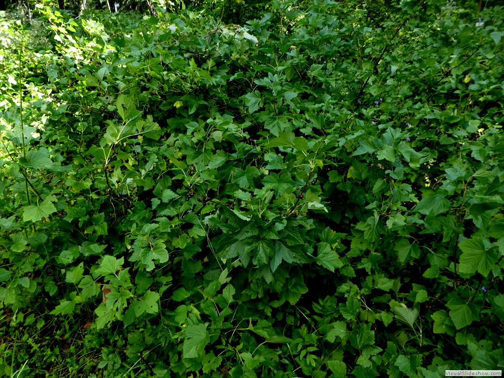 P1030075