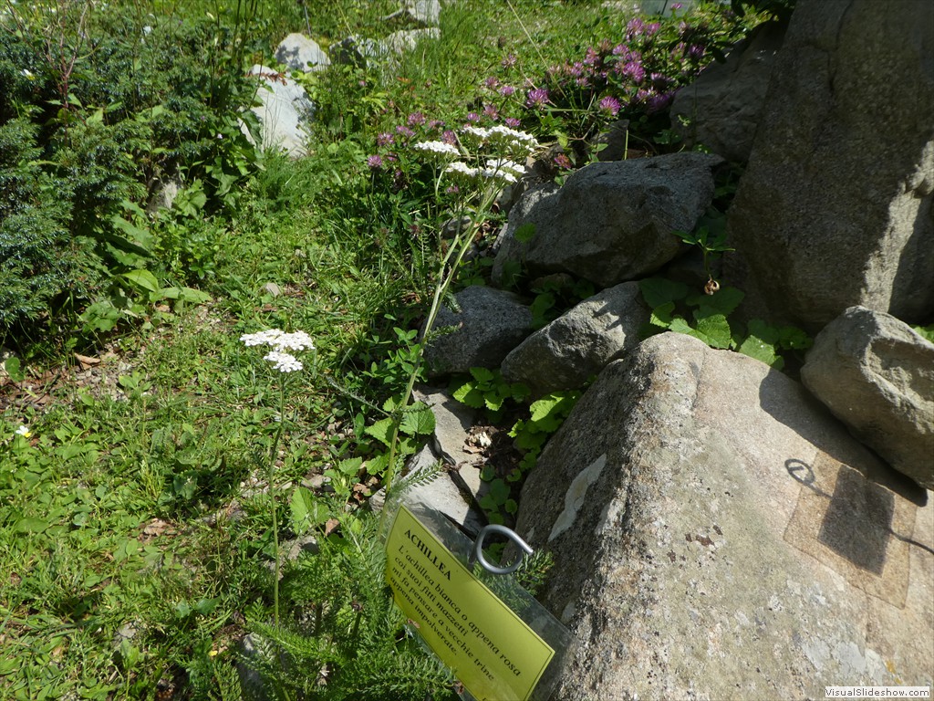 P1030092