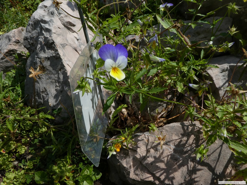 P1030093